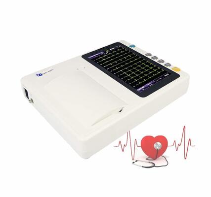 Machine électrocardiographe portable à 3 canaux avec écran tactile de 7 pouces et imprimante thermique pour l'analyse en temps réel/hors ligne
